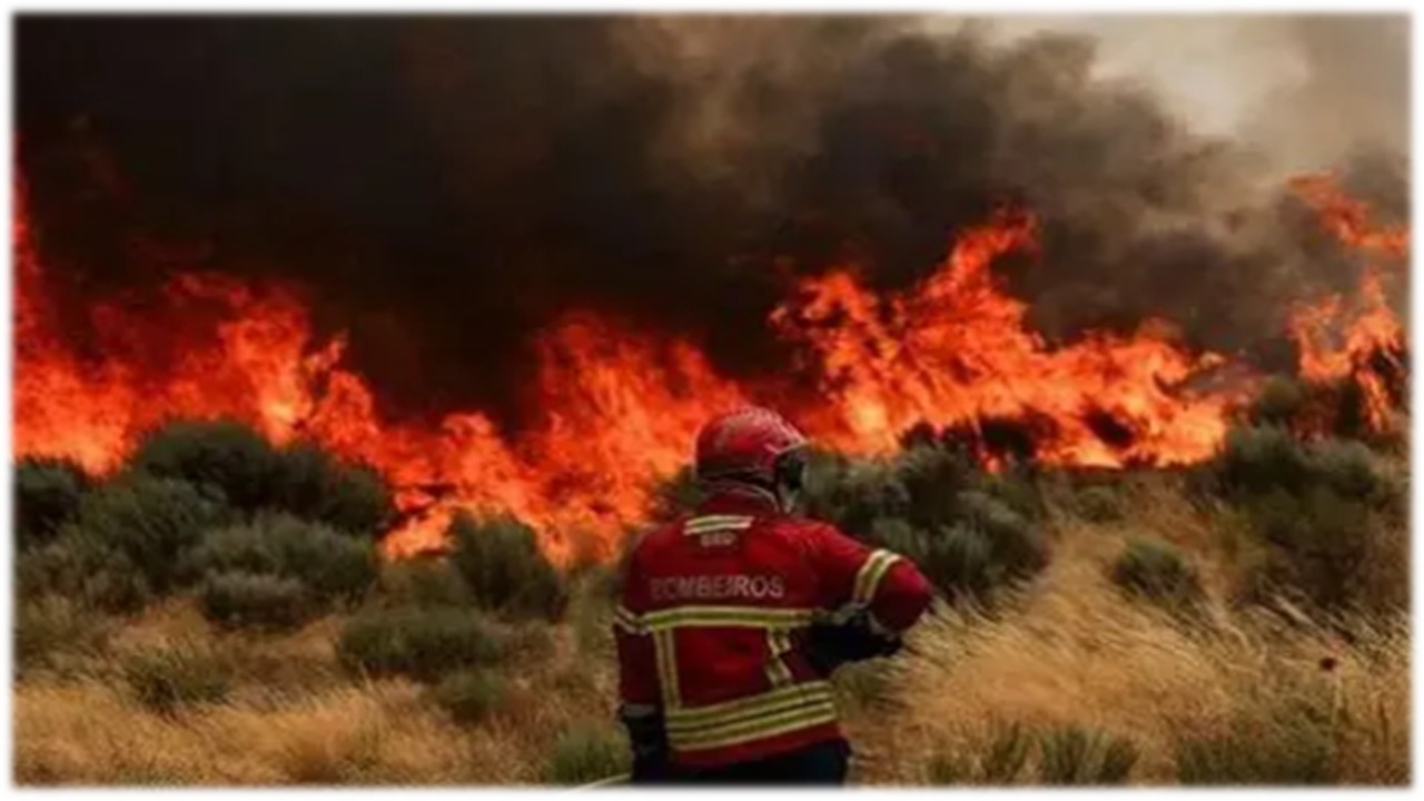 Tragedia por incendio forestal en España: al menos 12 muertos, 23 desaparecidos y cientos de evacuados en Almería Tragedia por incendio forestal en España: al menos 12 muertos, 23 desaparecidos y cientos de evacuados en Almería