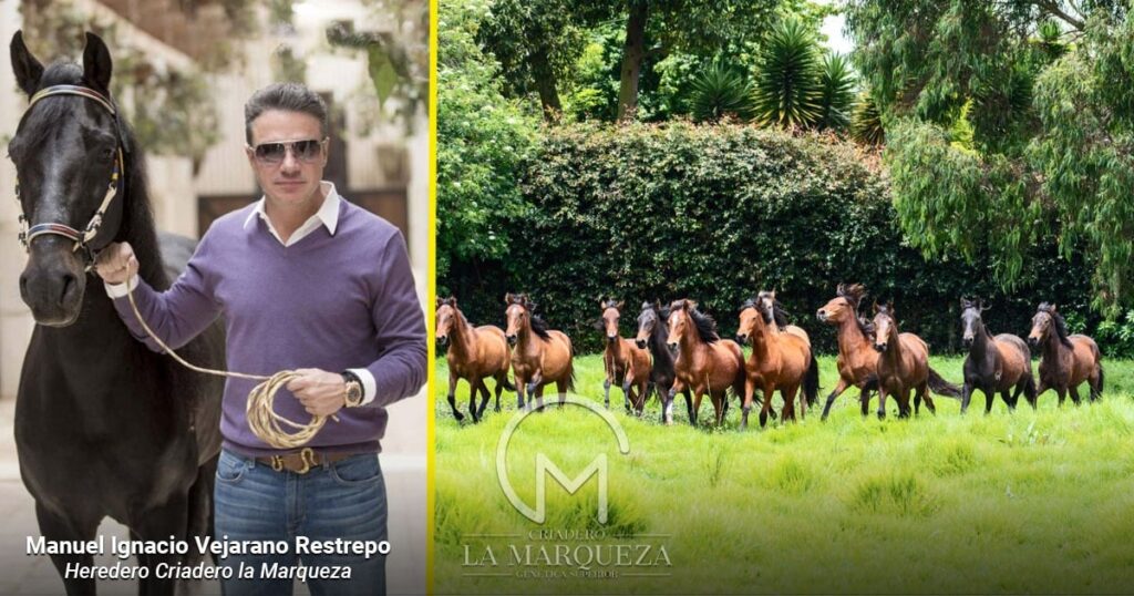 La familia del Cauca que lleva más de un siglo persiguiendo el caballo perfecto con su Criadero La Marqueza La familia del Cauca que lleva más de un siglo persiguiendo el caballo perfecto con su Criadero La Marqueza
