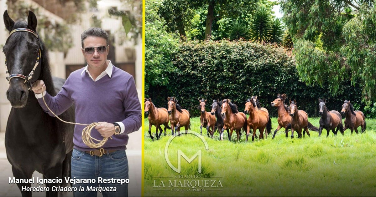 La familia del Cauca que lleva más de un siglo persiguiendo el caballo perfecto con su Criadero La Marqueza La familia del Cauca que lleva más de un siglo persiguiendo el caballo perfecto con su Criadero La Marqueza