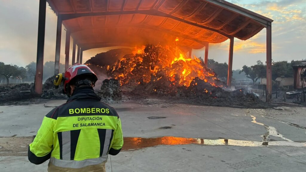 Madrid y Ávila salen de la emergencia nacional y las llamas cercan ahora Zamora Madrid y Ávila salen de la emergencia nacional y las llamas cercan ahora Zamora