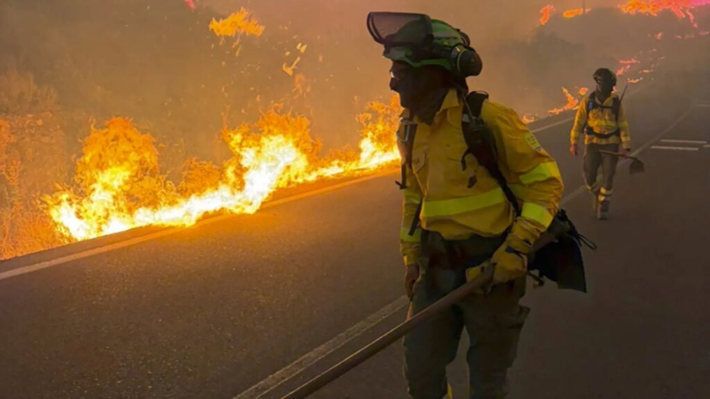 Mueren doce personas en el incendio forestal de Los Gallardos, en Almería
