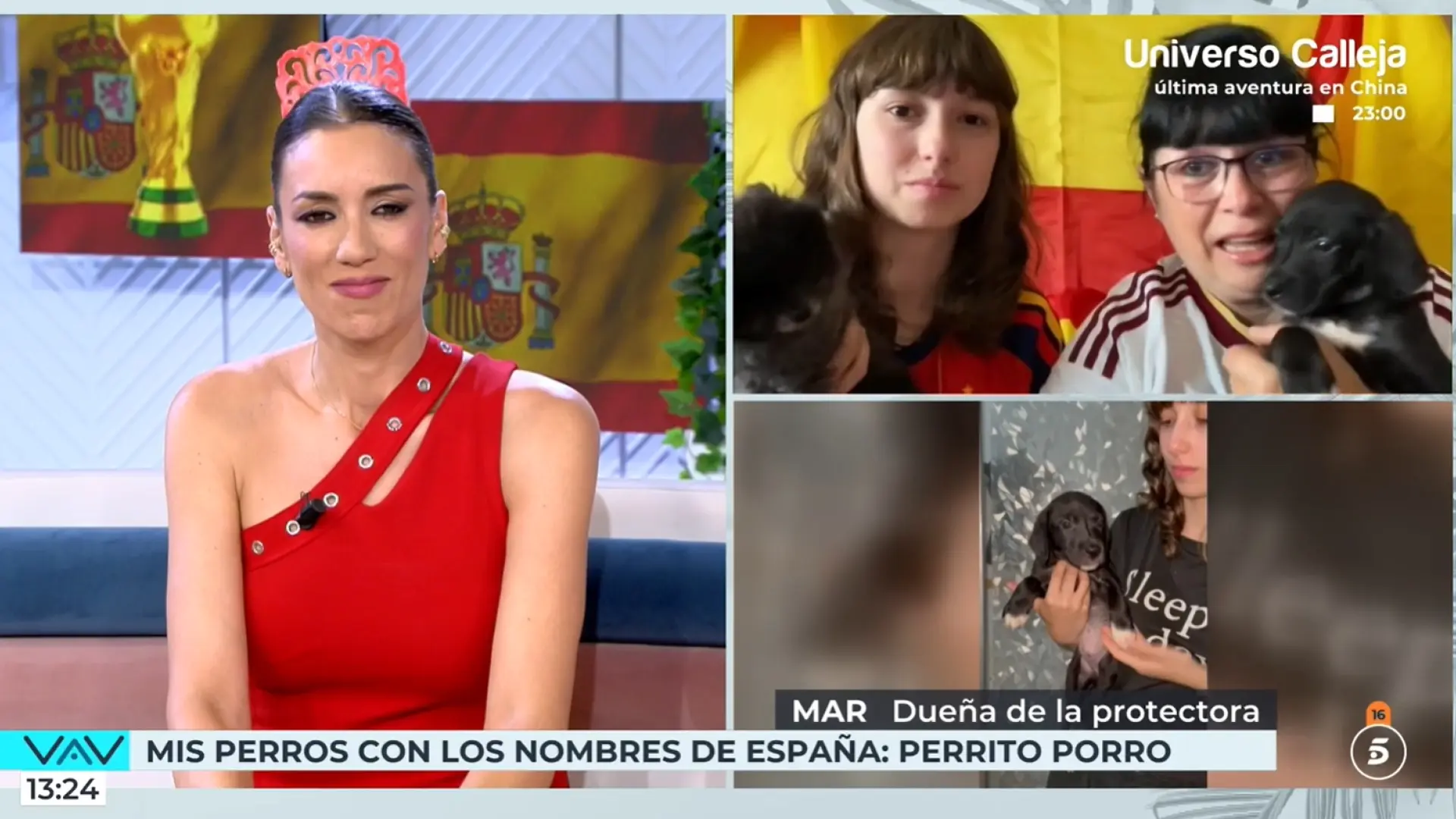 Una protectora pone en adopción a varios perros con los nombres de la Selección española: «Perrito Porro, Ferran, Unai…» Una protectora pone en adopción a varios perros con los nombres de la Selección española: «Perrito Porro, Ferran, Unai…»