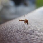 las dos complicaciones que debes tener en cuenta