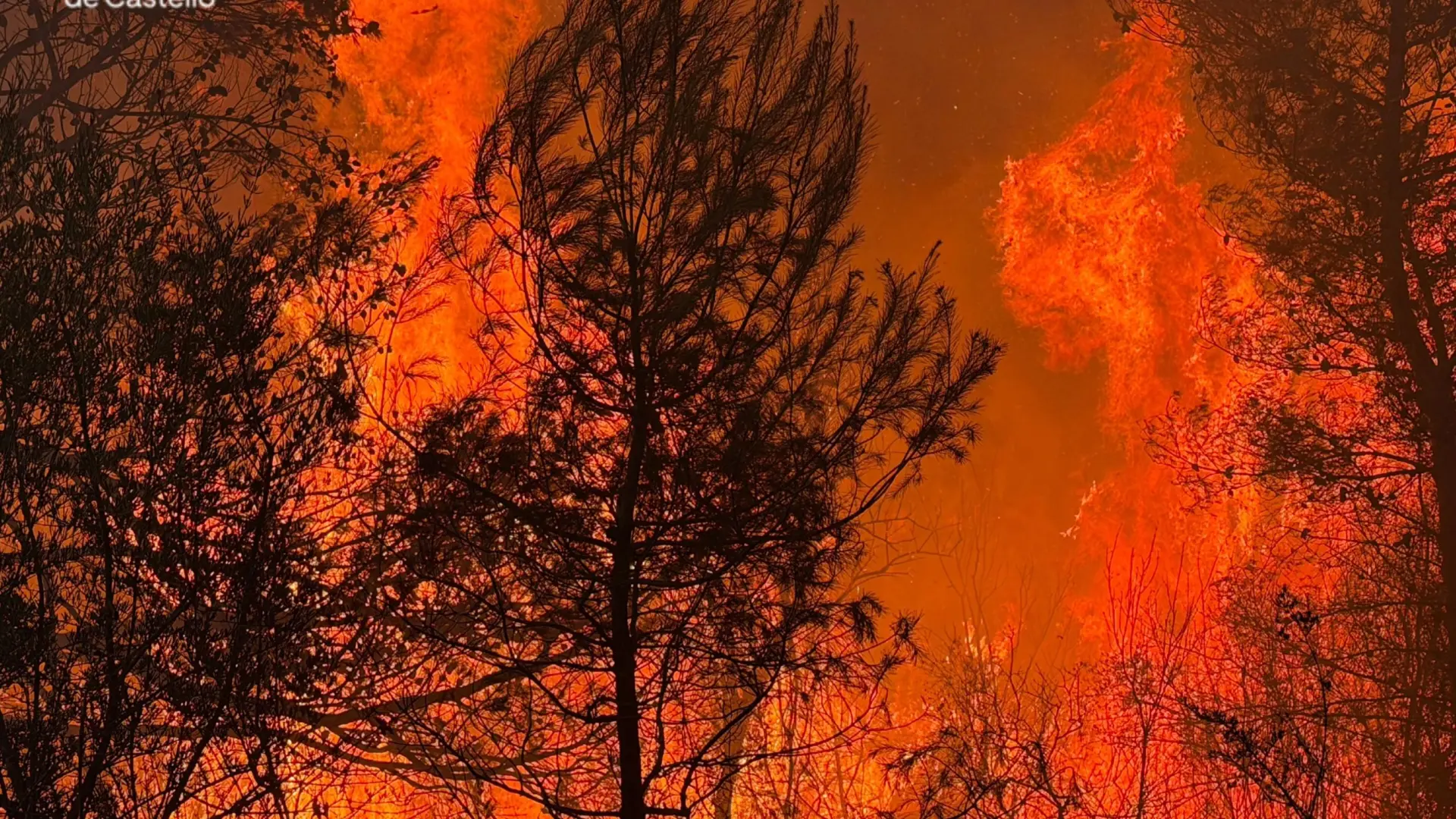 el fuego pone en jaque el centro y este peninsular el fuego pone en jaque el centro y este peninsular
