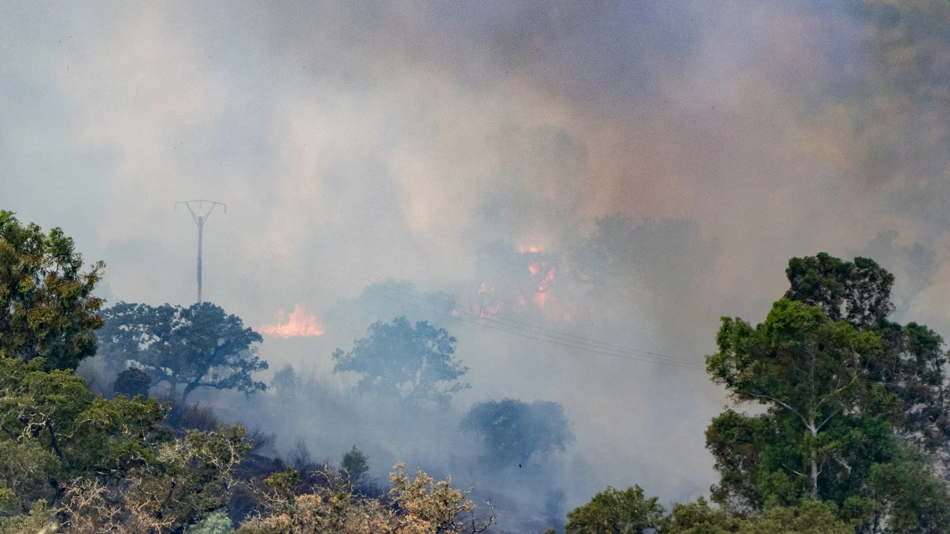 los incendios obligan a confinar y desalojar a de vecinos varias zonas de España y el de La Mierla sigue activo