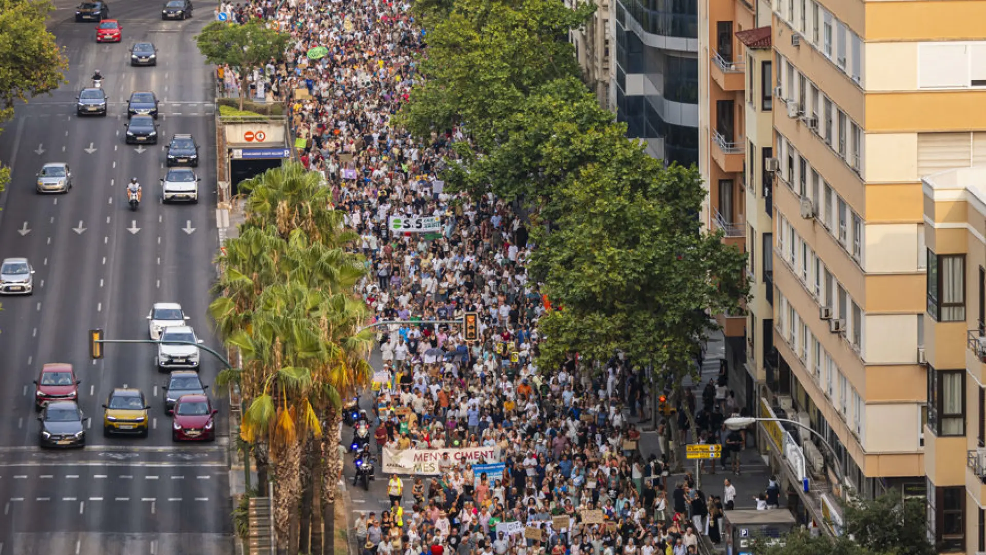 miles de personas exigen que decrezcan los turistas en Mallorca miles de personas exigen que decrezcan los turistas en Mallorca