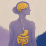 ¿Y si tu memoria empezara en el intestino? Un estudio revela una nueva conexión con el cerebro