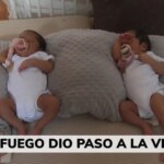 Brave y Kyrie, las dos mellizas nacidas en medio de la tragedia de los incendios de la Sierra Oeste de Madrid Brave y Kyrie, las dos mellizas nacidas en medio de la tragedia de los incendios de la Sierra Oeste de Madrid