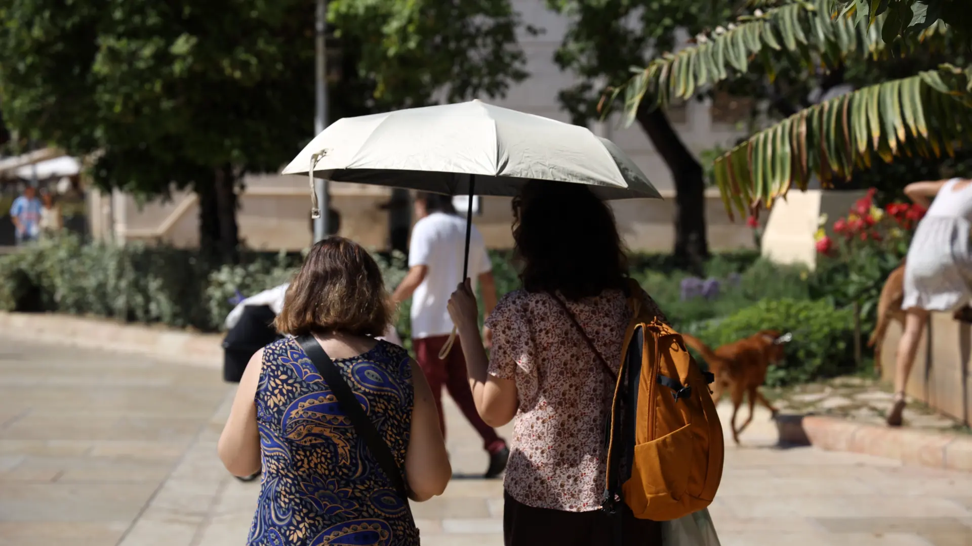 El calor deja 430 muertes atribuibles a temperaturas en Andalucía desde mayo, un 172% más que en 2025