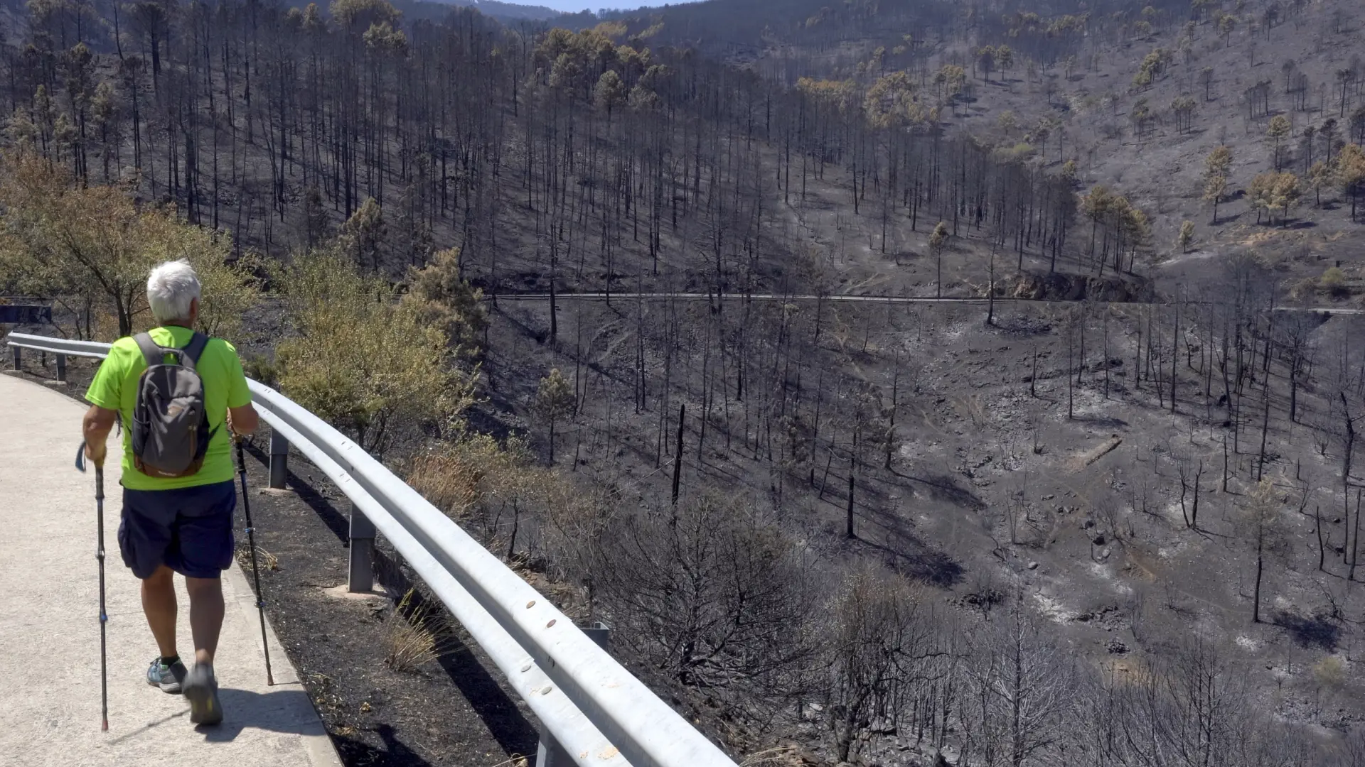 El descenso de las temperaturas da un respiro a los incendios y mejora la evolución en la mayoría de comunidades El descenso de las temperaturas da un respiro a los incendios y mejora la evolución en la mayoría de comunidades