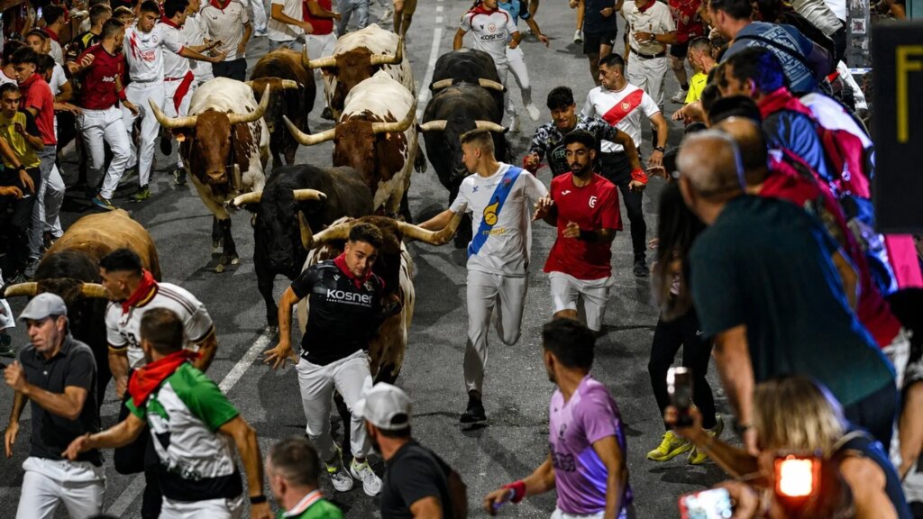 El único encierro nocturno de San Sebastián de los Reyes deja 14 heridos y reúne a 2.200 corredores El único encierro nocturno de San Sebastián de los Reyes deja 14 heridos y reúne a 2.200 corredores
