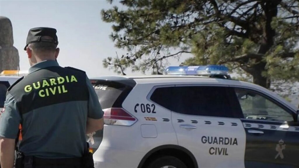 Encuentran el cadáver de una persona en avanzado estado de descomposición en un olivar en Granada