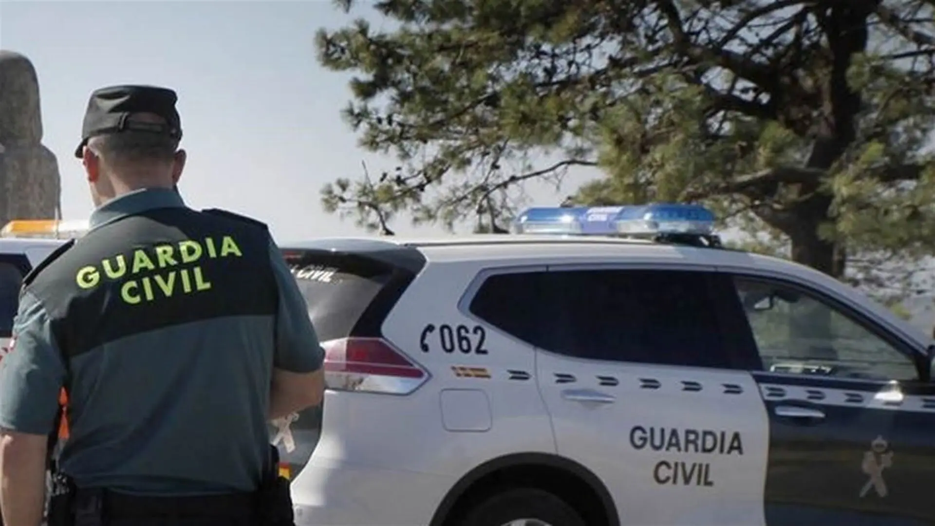 Encuentran el cadáver de una persona en avanzado estado de descomposición en un olivar en Granada Encuentran el cadáver de una persona en avanzado estado de descomposición en un olivar en Granada