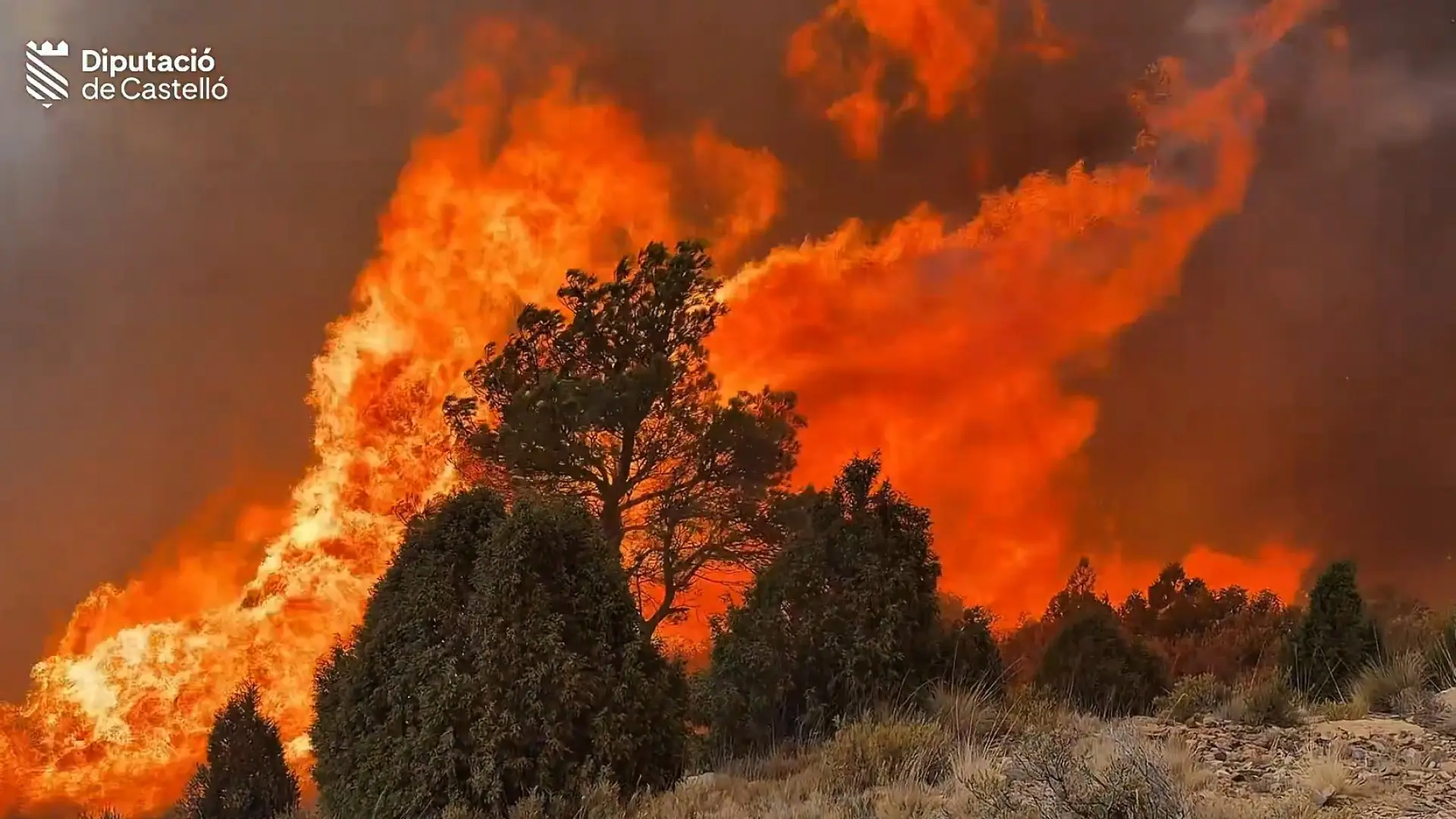 Nuevos desalojos por el incendio de Segorbe, fuera de control, mientras logran estabilizar el fuego de Las Hurdes Nuevos desalojos por el incendio de Segorbe, fuera de control, mientras logran estabilizar el fuego de Las Hurdes