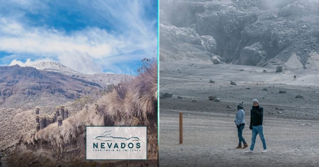 Pequeñas empresas de Caldas y Risaralda han llevado al Parque Los Nevados a la cima de visitas con 100 mil entradas Pequeñas empresas de Caldas y Risaralda han llevado al Parque Los Nevados a la cima de visitas con 100 mil entradas
