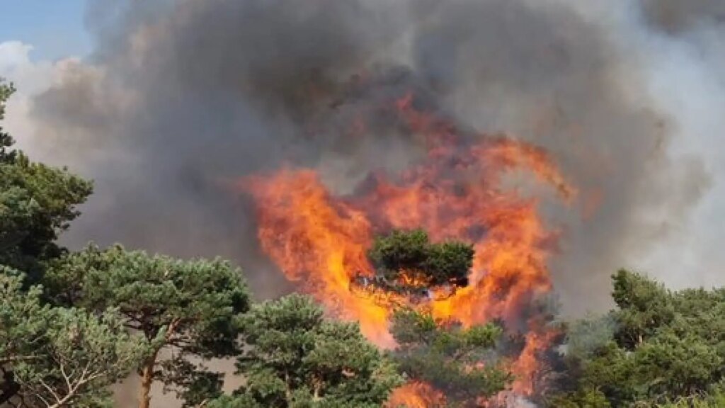 Un vehículo ardiendo en el arcén provoca un incendio forestal junto a la AP-6 en Segovia