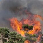 Un vehículo ardiendo en el arcén provoca un incendio forestal junto a la AP-6 en Segovia