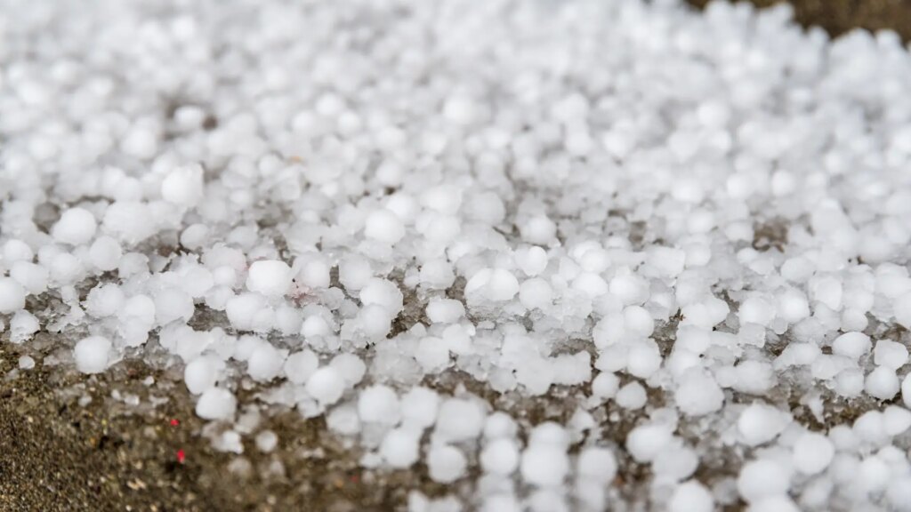 Una fuerte granizada provoca la caída de ramas de árboles y daños en coches y tejados en Utiel Una fuerte granizada provoca la caída de ramas de árboles y daños en coches y tejados en Utiel