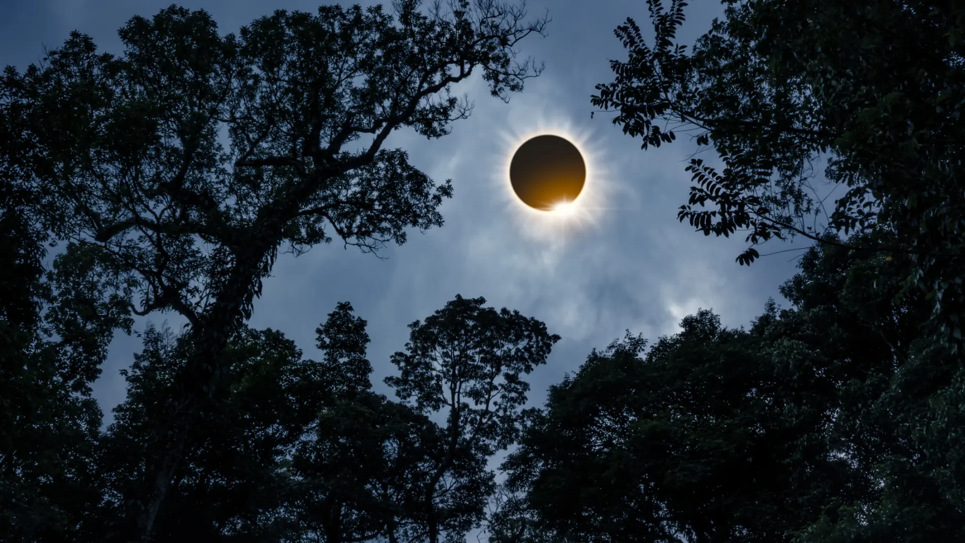 ¿Dónde se verá mejor el eclipse en Galicia? La Xunta estrena una herramienta para saber si el cielo estará despejado en cada municipio ¿Dónde se verá mejor el eclipse en Galicia? La Xunta estrena una herramienta para saber si el cielo estará despejado en cada municipio