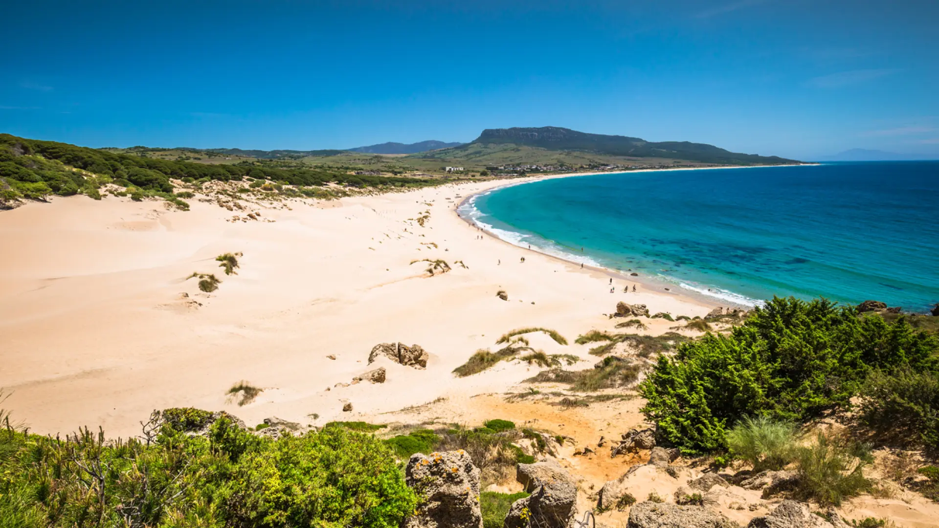Bolonia se corona como la mejor playa de España 2026 en la votación de los lectores de ’20minutos’ Bolonia se corona como la mejor playa de España 2026 en la votación de los lectores de ’20minutos’