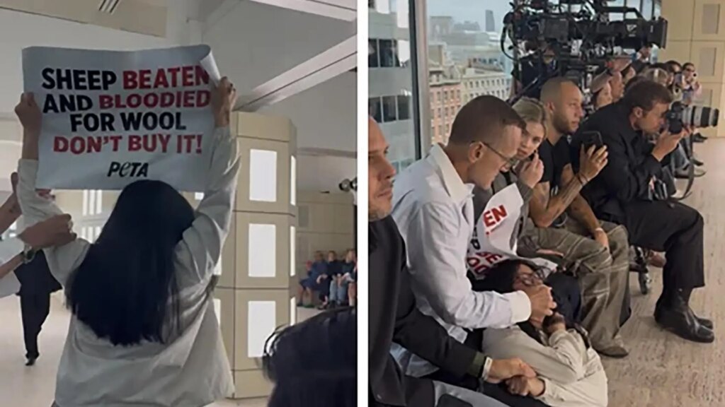 Dimite el director del Consejo de la Moda de EEUU tras agredir a activistas defensores de los animales en un desfile en Nueva York Dimite el director del Consejo de la Moda de EEUU tras agredir a activistas defensores de los animales en un desfile en Nueva York
