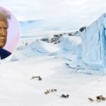 Donald Trump anuncia que Estados Unidos se hace con el «control permanente» de Groenlandia tras acordarlo con Dinamarca Donald Trump anuncia que Estados Unidos se hace con el «control permanente» de Groenlandia tras acordarlo con Dinamarca