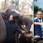 El plan del millonario indio que quería los 80 hipopótamos de Escobar, con los animales silvestres de Venezuela El plan del millonario indio que quería los 80 hipopótamos de Escobar, con los animales silvestres de Venezuela