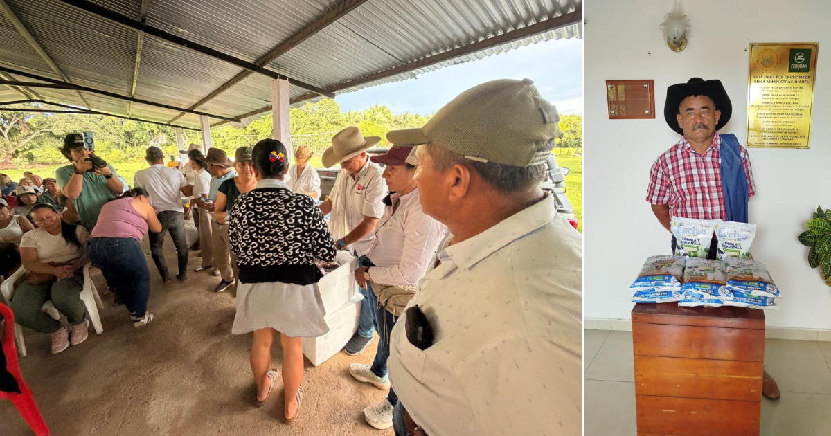 Gigantes ganaderos se pusieron la ’10’ para donar más de 805 mil vasos de leche y 9 toneladas de carne a damnificados Gigantes ganaderos se pusieron la ’10’ para donar más de 805 mil vasos de leche y 9 toneladas de carne a damnificados