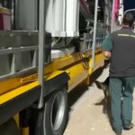 Hallan en Melilla a 71 personas ocultas en atracciones que pretendían viajar como polizones a la Península Hallan en Melilla a 71 personas ocultas en atracciones que pretendían viajar como polizones a la Península