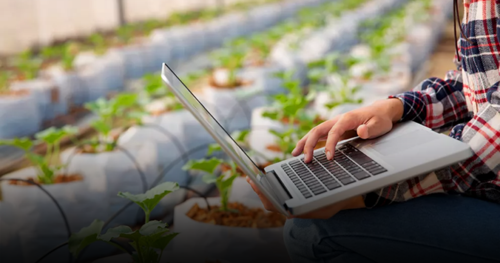 La fórmula que busca poner a las pequeñas y medianas empresas en el centro de la innovación empresarial en Colombia La fórmula que busca poner a las pequeñas y medianas empresas en el centro de la innovación empresarial en Colombia