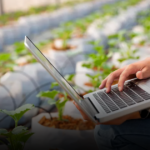 La fórmula que busca poner a las pequeñas y medianas empresas en el centro de la innovación empresarial en Colombia La fórmula que busca poner a las pequeñas y medianas empresas en el centro de la innovación empresarial en Colombia