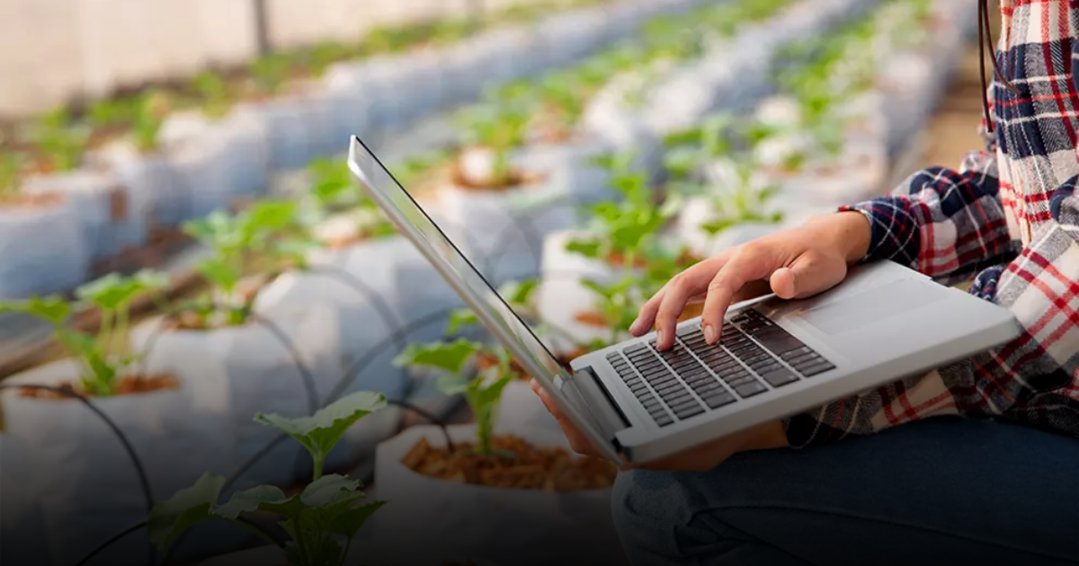 La fórmula que busca poner a las pequeñas y medianas empresas en el centro de la innovación empresarial en Colombia La fórmula que busca poner a las pequeñas y medianas empresas en el centro de la innovación empresarial en Colombia
