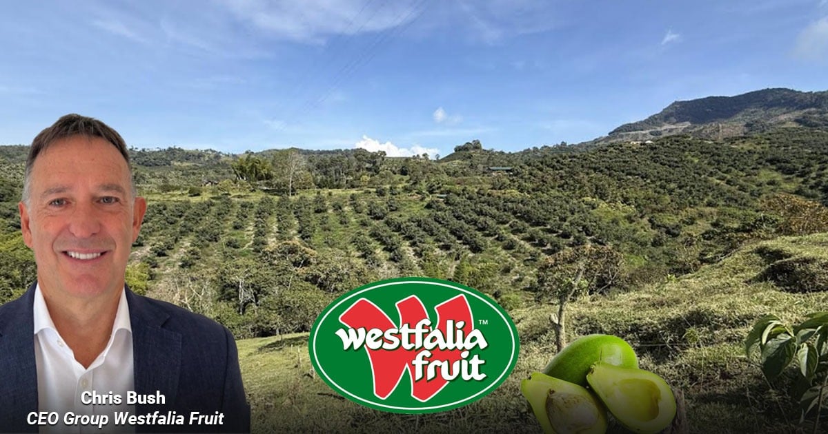La multinacional sudafricana que convirtió al aguacate colombiano en un negocio global La multinacional sudafricana que convirtió al aguacate colombiano en un negocio global