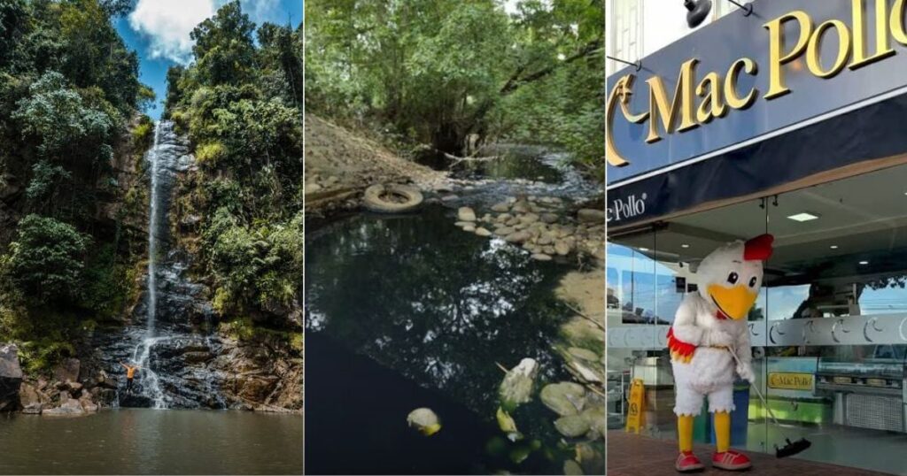 La quebrada de aguas cristalinas que terminó convertida en un caño negro tras la llegada de una planta de Mac Pollo La quebrada de aguas cristalinas que terminó convertida en un caño negro tras la llegada de una planta de Mac Pollo