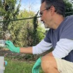 Los excrementos de los mosquitos revelan virus ocultos y abren una nueva vía de vigilancia sanitaria Los excrementos de los mosquitos revelan virus ocultos y abren una nueva vía de vigilancia sanitaria