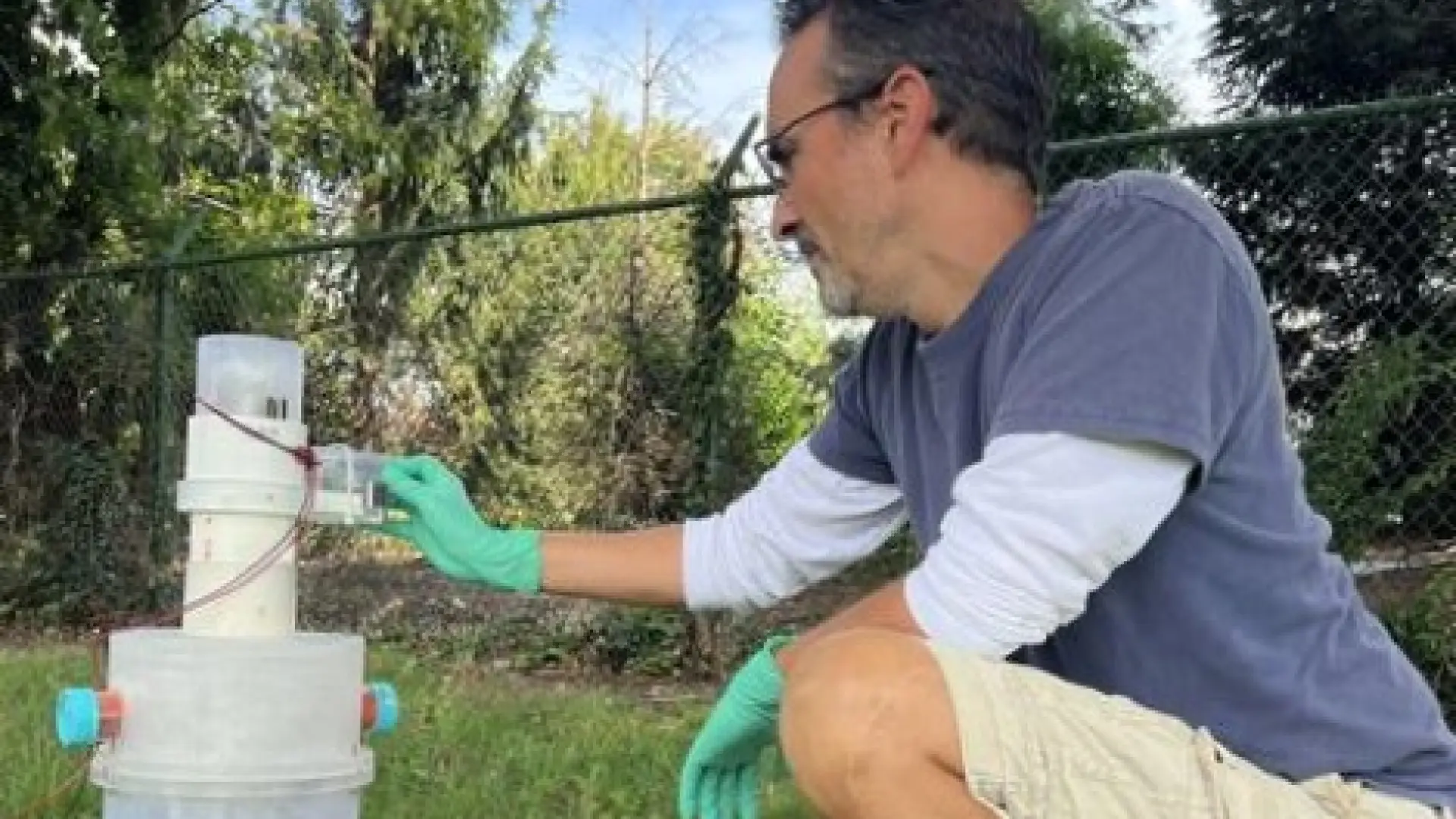Los excrementos de los mosquitos revelan virus ocultos y abren una nueva vía de vigilancia sanitaria