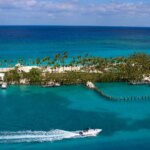 Una madre abandona a sus cuatro hijos para irse de crucero a las Bahamas Una madre abandona a sus cuatro hijos para irse de crucero a las Bahamas