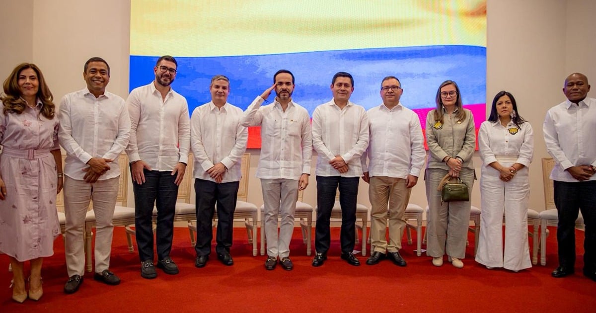 Varios quemados en la aspiración al congreso terminaron elegidos magistrados del Consejo Nacional Electoral Varios quemados en la aspiración al congreso terminaron elegidos magistrados del Consejo Nacional Electoral