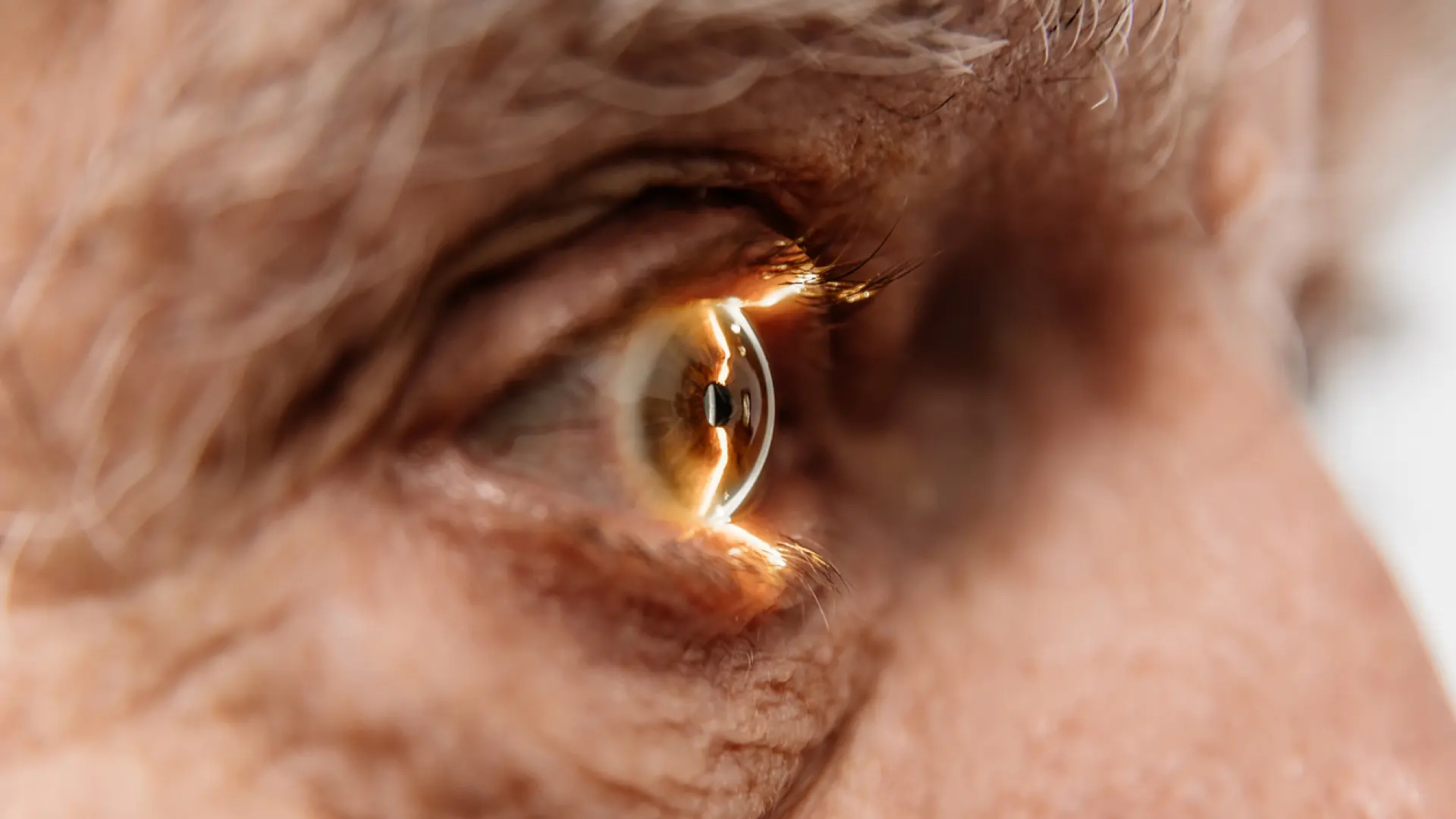 Harvard prueba en humanos una técnica destinada a restaurar visión en personas con glaucoma Harvard prueba en humanos una técnica destinada a restaurar visión en personas con glaucoma
