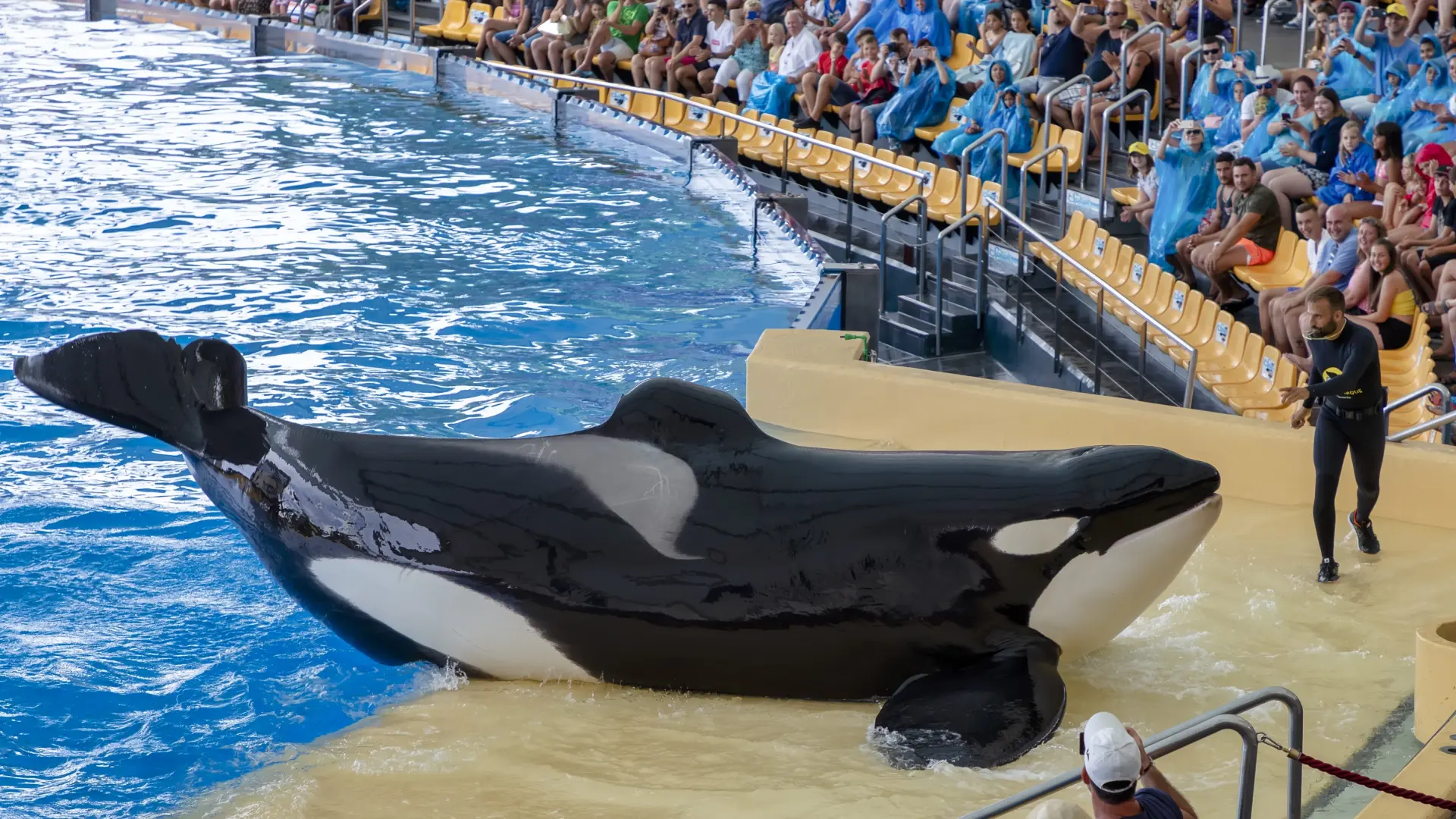 ¿Qué tiene de educativo llevar escolares a visitar zoológicos?