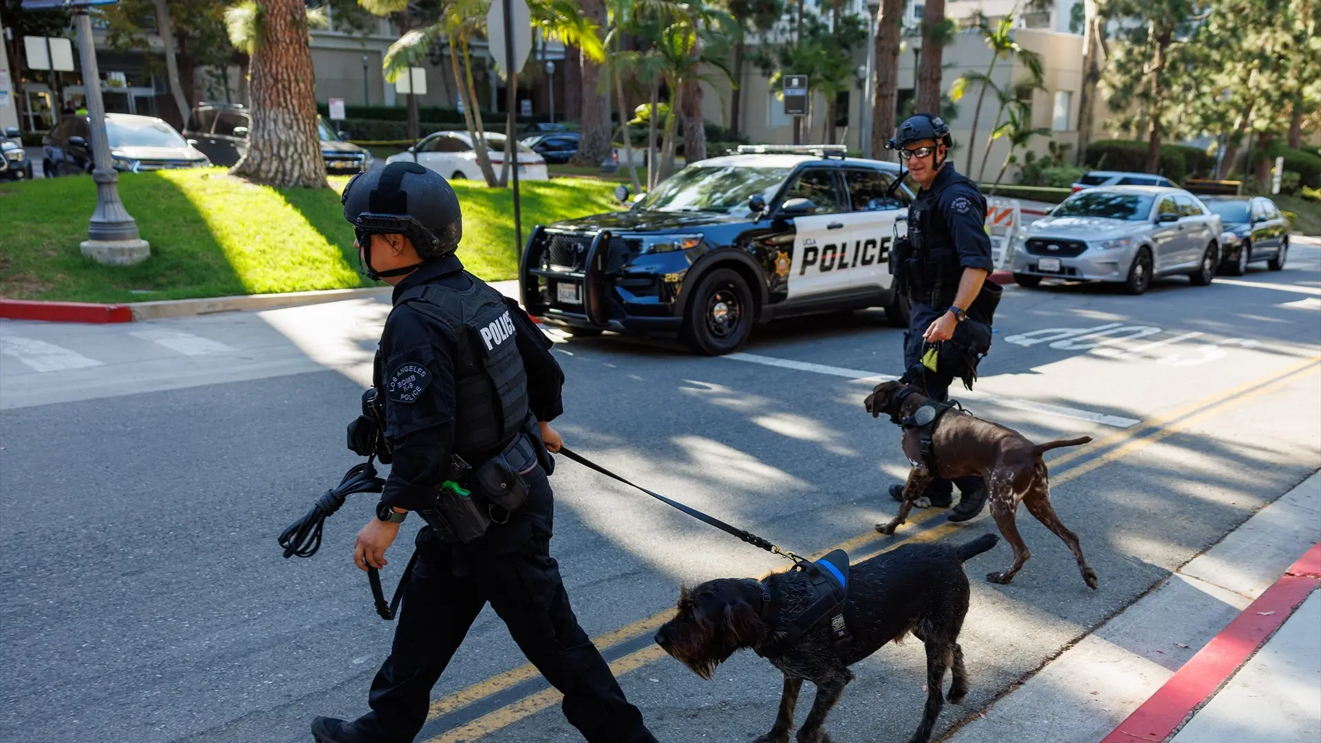 Al menos dos muertos y varios heridos tras un tiroteo en un centro comercial de Los Ángeles Al menos dos muertos y varios heridos tras un tiroteo en un centro comercial de Los Ángeles