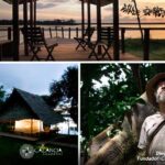 El hotel de lujo que el pintor Diego Samper levantó en la selva del Amazonas desde hace 40 años